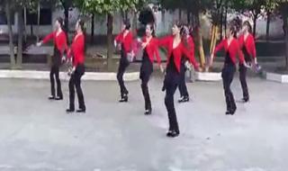 广场舞套马杆分解动作 广场舞套马杆分解动作